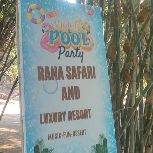 Summer Pool Party
